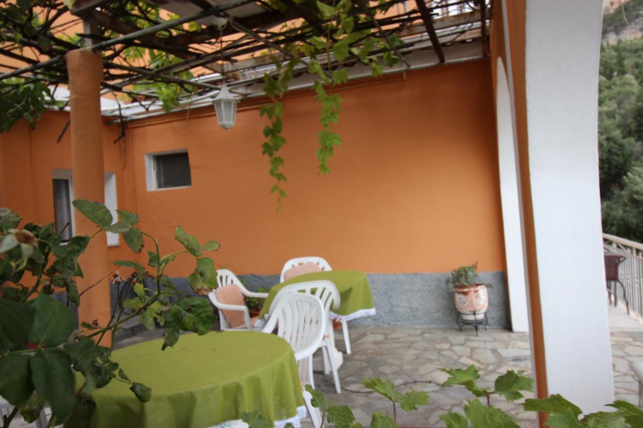 Villa Athina パレオカストリッツア エクステリア 写真