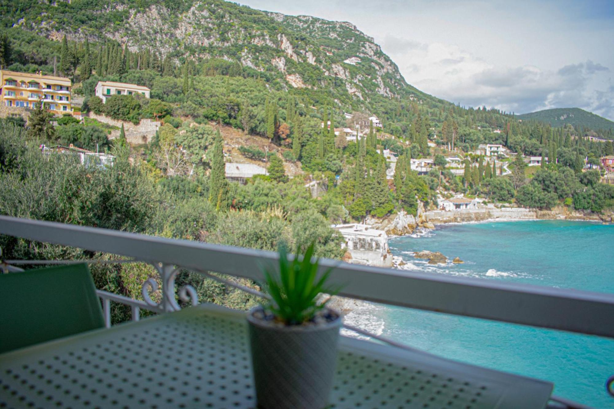 Villa Athina パレオカストリッツア エクステリア 写真